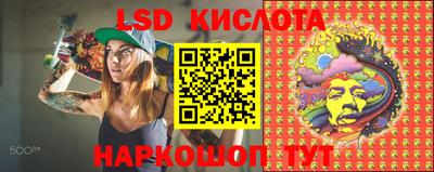 амф Бердск