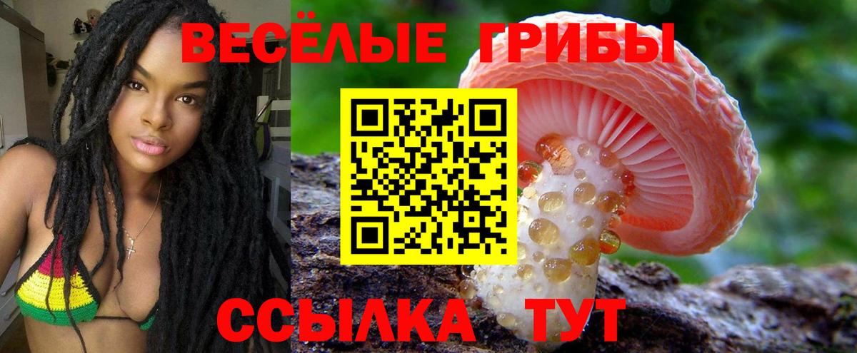 Псилоцибиновые грибы GOLDEN TEACHER  Галлюциногенные грибы MAGIC MUSHROOMS  Обнинск  Вход с VPN 